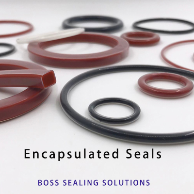 BOSS Encapsulated seals catalog
